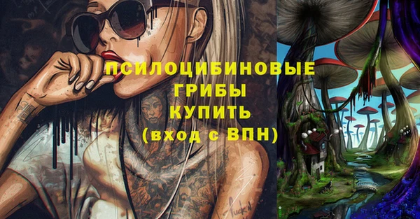 спиды Коряжма