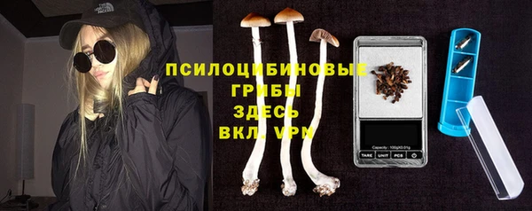 спиды Коряжма